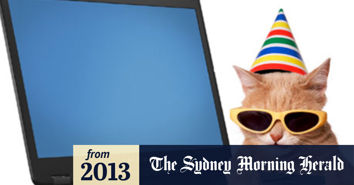 Dell offers to fix laptops that smell like cat pee